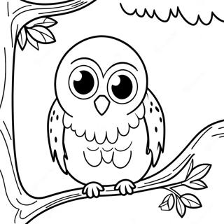 Pagina Para Colorear De Hedwig Posada En Una Rama 105874-43379