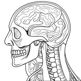 Pagina Para Colorear De Anatomia Y Fisiologia 107435-44592