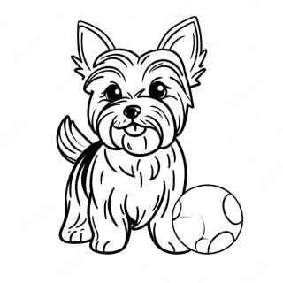 Yorkie Jugueton Con Una Pelota Pagina Para Colorear 109801-46502