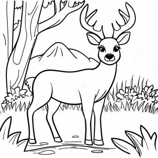 Pagina Para Colorear De Un Ciervo Jugueton Pastando 115098 50772