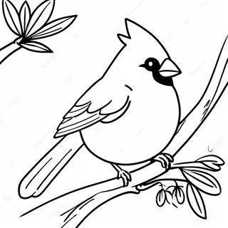 Pagina Para Colorear De Un Cardenal Real 118373 53575