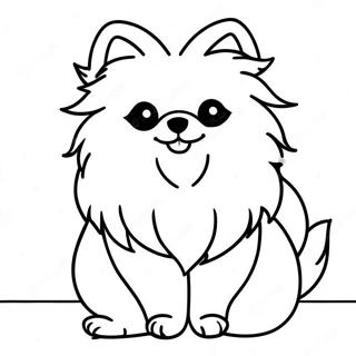 Pomerania Páginas Para Colorear