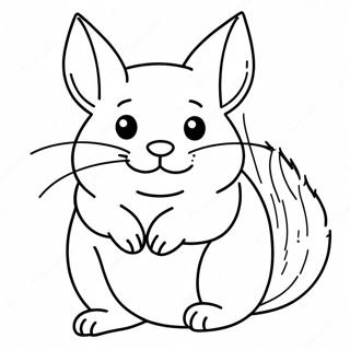 Chinchilla Páginas Para Colorear