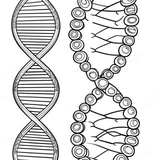 Pagina Para Colorear De La Estructura Del Adn 129942-63010