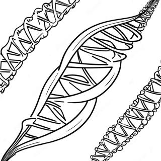 Pagina Para Colorear De La Estructura Del Adn 129942-63011