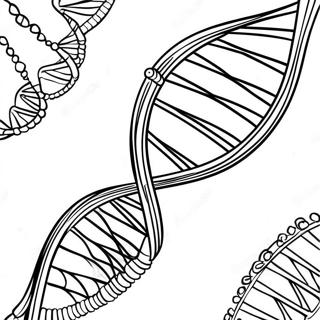 Pagina Para Colorear De La Estructura Del Adn 129942-63012