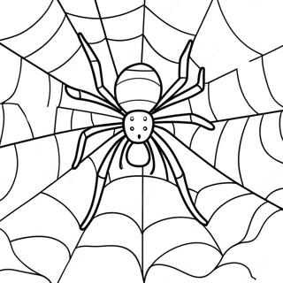 Pagina Para Colorear De Telarana Gigante 130356 63345