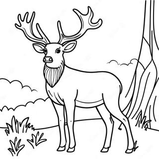 Ciervo Elegante De Pie Con Orgullo Pagina Para Colorear 18901 4131