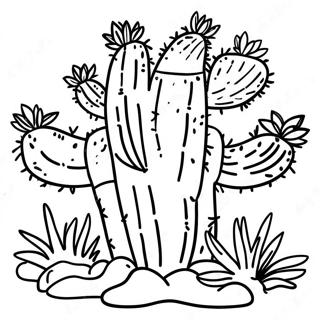 Pagina Para Colorear De Cactus Del Desierto 26621-5803