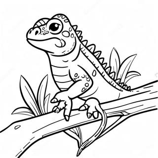 Iguana De Dibujos Animados En Una Rama Pagina Para Colorear 63699-14130