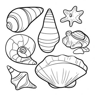 Pagina Para Colorear De Conchas Marinas Realistas Del Oceano 74141-17524