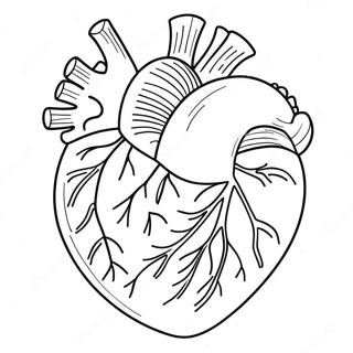 Pagina Para Colorear De Anatomia Del Corazon En Caricatura 76809-19603
