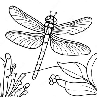 Pagina Para Colorear De Una Majestuosa Libelula 79617 21759