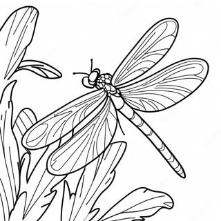 Pagina Para Colorear De Una Majestuosa Libelula 79617 21760