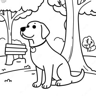 Pagina Para Colorear De Labrador En Un Parque Soleado 81984-23587