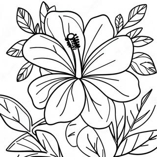 Pagina Para Colorear De Hibisco Con Hojas 83396 24718