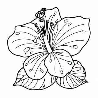 Pagina Para Colorear De Un Hibisco Rosa Brillante 83397-24724