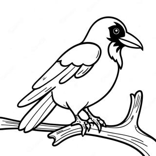 Pagina Para Colorear De Un Cuervo Real Posado En Una Rama 84420 25520