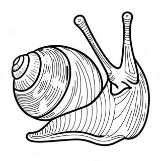 Caracol Páginas Para Colorear