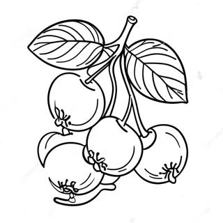 Cerezas Páginas para colorear