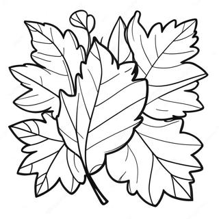 Pagina Para Colorear De Hoja De Otono Colorida 90429-30437