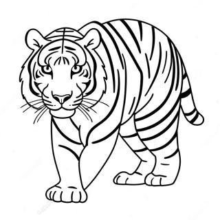 Tigre Páginas Para Colorear