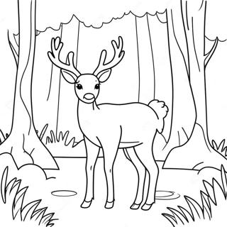 Pagina Para Colorear De Un Ciervo Elegante En El Bosque 92326-31993