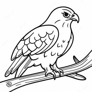 Pagina Para Colorear Del Halcon Elegante Posado En Una Rama 92353-32020