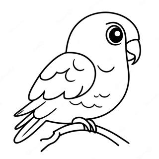 Pagina Para Colorear De Un Periquito 92479-32102